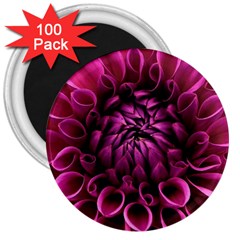 Dahlia-flower-purple-dahlia-petals 3  Magnets (100 Pack) by Sapixe