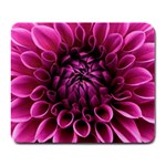 Dahlia-flower-purple-dahlia-petals Large Mousepads Front