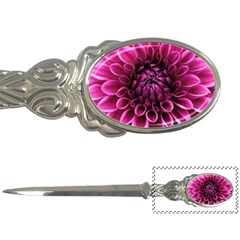 Dahlia-flower-purple-dahlia-petals Letter Opener by Sapixe