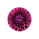 Dahlia-flower-purple-dahlia-petals Magnet 3  (Round) Front