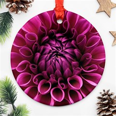 Dahlia-flower-purple-dahlia-petals Round Ornament (two Sides) by Sapixe