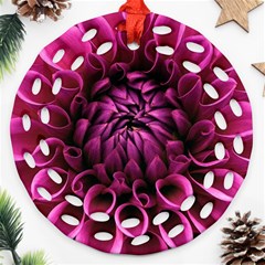 Dahlia-flower-purple-dahlia-petals Round Filigree Ornament (two Sides) by Sapixe