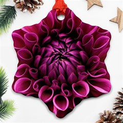 Dahlia-flower-purple-dahlia-petals Snowflake Ornament (two Sides) by Sapixe