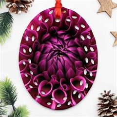 Dahlia-flower-purple-dahlia-petals Ornament (oval Filigree) by Sapixe