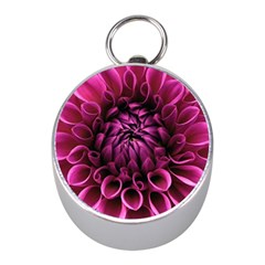 Dahlia-flower-purple-dahlia-petals Mini Silver Compasses by Sapixe