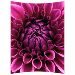 Dahlia-flower-purple-dahlia-petals Back Support Cushion