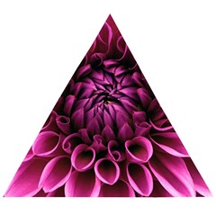 Dahlia-flower-purple-dahlia-petals Wooden Puzzle Triangle by Sapixe