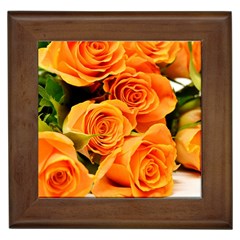 Roses-flowers-orange-roses Framed Tile by Sapixe