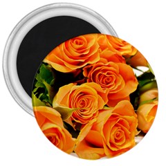 Roses-flowers-orange-roses 3  Magnets by Sapixe