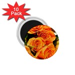 Roses-flowers-orange-roses 1.75  Magnets (10 pack)  Front