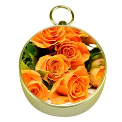 Roses-flowers-orange-roses Gold Compasses by Sapixe