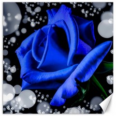 Blue-rose-rose-rose-bloom-blossom Canvas 12  X 12 