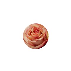 Roses-flowers-rose-bloom-petals 1  Mini Buttons by Sapixe