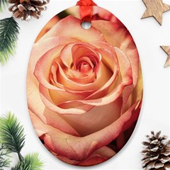 Roses-flowers-rose-bloom-petals Ornament (Oval)