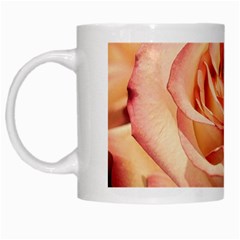 Roses-flowers-rose-bloom-petals White Mugs