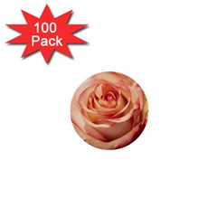 Roses-flowers-rose-bloom-petals 1  Mini Buttons (100 pack) 