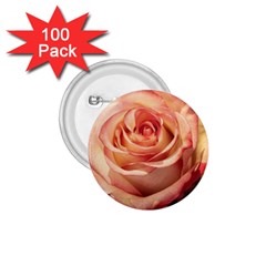 Roses-flowers-rose-bloom-petals 1.75  Buttons (100 pack) 