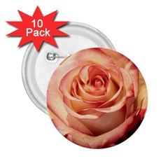 Roses-flowers-rose-bloom-petals 2.25  Buttons (10 pack) 