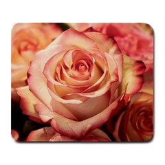 Roses-flowers-rose-bloom-petals Large Mousepads