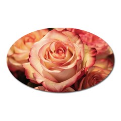 Roses-flowers-rose-bloom-petals Oval Magnet