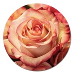 Roses-flowers-rose-bloom-petals Magnet 5  (Round) Front