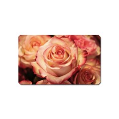 Roses-flowers-rose-bloom-petals Magnet (Name Card)