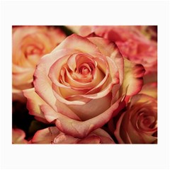 Roses-flowers-rose-bloom-petals Small Glasses Cloth