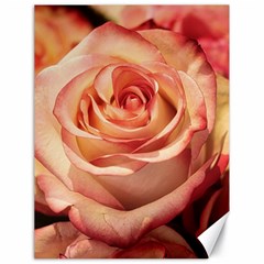 Roses-flowers-rose-bloom-petals Canvas 18  x 24 