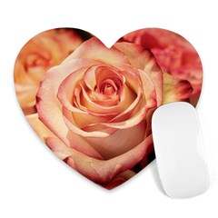 Roses-flowers-rose-bloom-petals Heart Mousepads by Sapixe