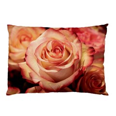 Roses-flowers-rose-bloom-petals Pillow Case