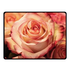 Roses-flowers-rose-bloom-petals Fleece Blanket (Small)