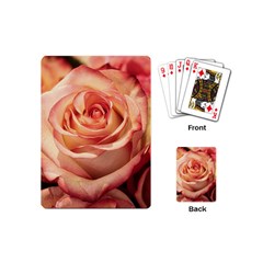 Roses-flowers-rose-bloom-petals Playing Cards Single Design (Mini)