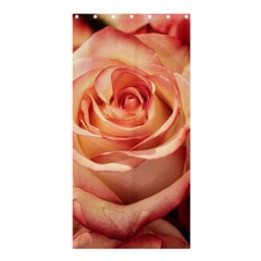 Roses-flowers-rose-bloom-petals Shower Curtain 36  X 72  (stall)  by Sapixe