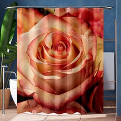 Roses-flowers-rose-bloom-petals Shower Curtain 60  X 72  (medium)  by Sapixe