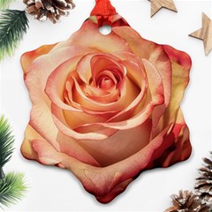 Roses-flowers-rose-bloom-petals Ornament (Snowflake)