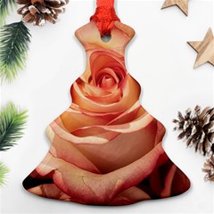 Roses-flowers-rose-bloom-petals Ornament (Christmas Tree) 