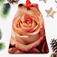 Roses-flowers-rose-bloom-petals Ornament (Bell)