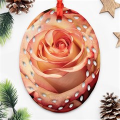 Roses-flowers-rose-bloom-petals Ornament (Oval Filigree)