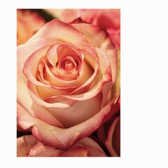 Roses-flowers-rose-bloom-petals Large Garden Flag (two Sides) by Sapixe