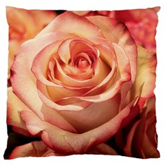 Roses-flowers-rose-bloom-petals Large Cushion Case (Two Sides)