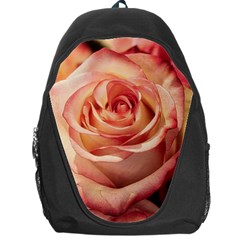 Roses-flowers-rose-bloom-petals Backpack Bag