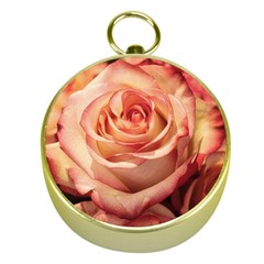 Roses-flowers-rose-bloom-petals Gold Compasses