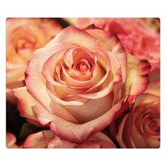 Roses-flowers-rose-bloom-petals Double Sided Flano Blanket (Small) 