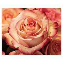 Roses-flowers-rose-bloom-petals Double Sided Flano Blanket (Medium) 