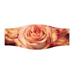 Roses-flowers-rose-bloom-petals Stretchable Headband