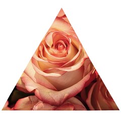 Roses-flowers-rose-bloom-petals Wooden Puzzle Triangle by Sapixe