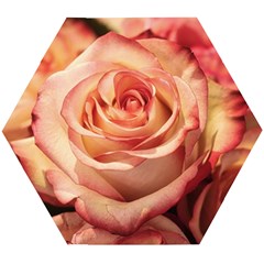 Roses-flowers-rose-bloom-petals Wooden Puzzle Hexagon by Sapixe