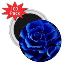 Roses-flowers-plant-romance 2 25  Magnets (100 Pack) 