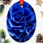 Roses-flowers-plant-romance Oval Ornament (Two Sides) Front