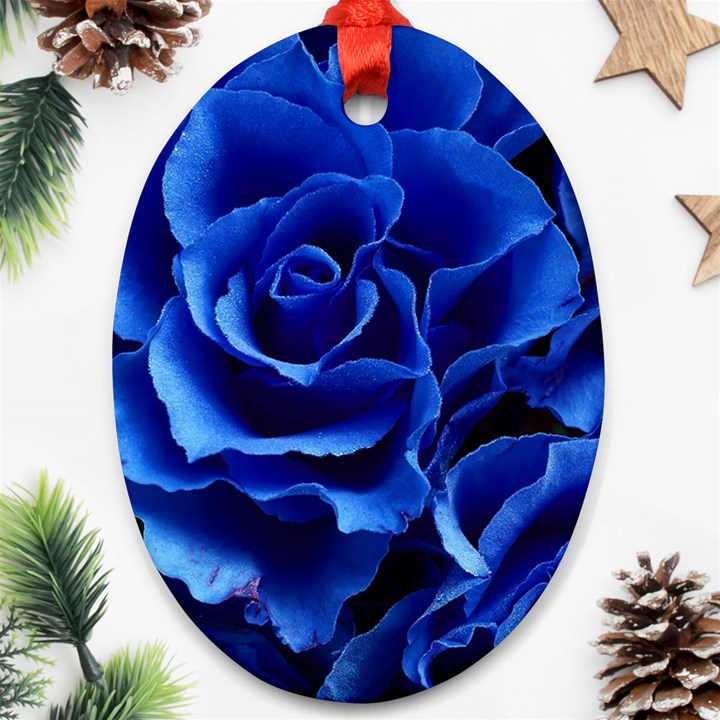 Roses-flowers-plant-romance Oval Ornament (Two Sides)